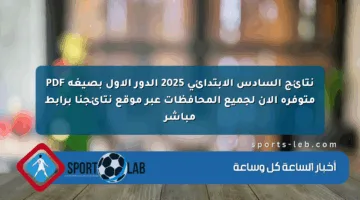 نتائج السادس الابتدائي 2025 الدور الأول بصيغة PDF متوفرة الآن لجميع المحافظات عبر موقع نتائجنا برابط مباشر